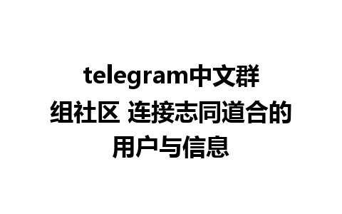 telegram中文群组社区 连接志同道合的用户与信息